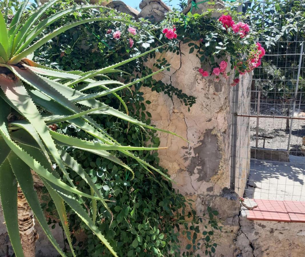 La Casa In Campagna Apartamento Chiesa Nuova  Exterior foto