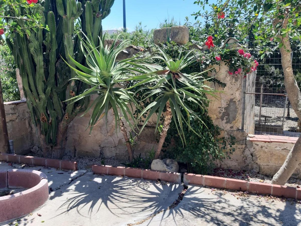 La Casa In Campagna Apartamento Chiesa Nuova  Exterior foto